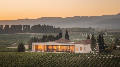 delicato family wines