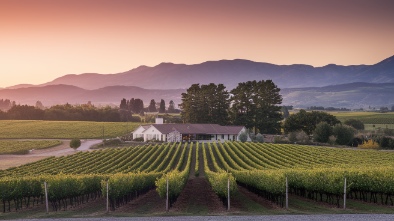 mcgrail vineyards and winery