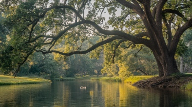 micke grove regional park