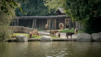 oakland zoo