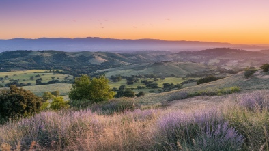 pleasanton ridge regional park