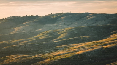 vintage hills